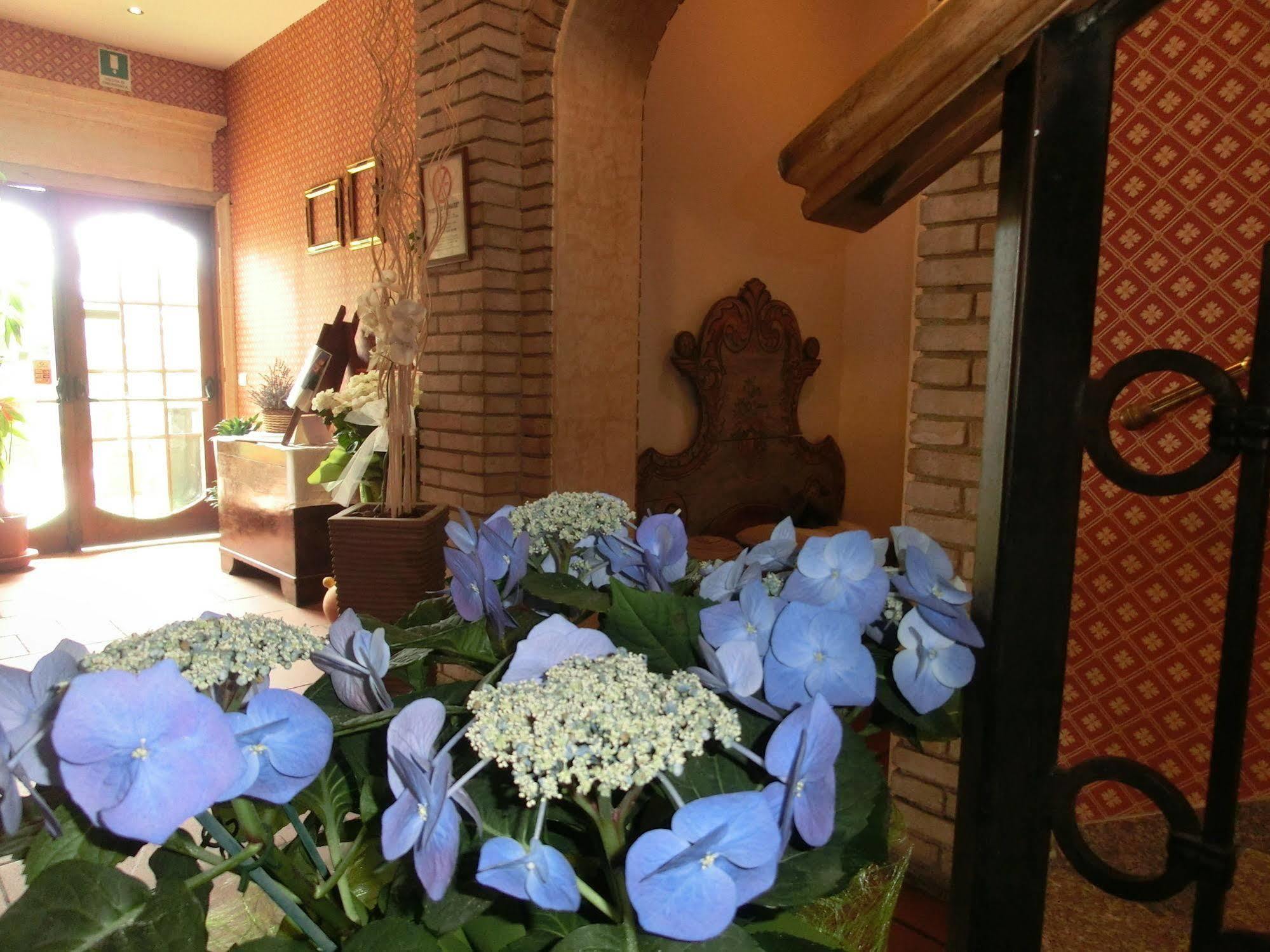 Hotel Girasole Civitanova Marche Εξωτερικό φωτογραφία