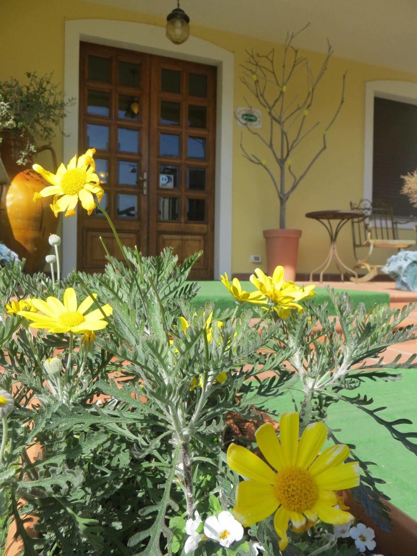 Hotel Girasole Civitanova Marche Εξωτερικό φωτογραφία